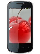 Best available price of Celkon A19 in Bulk