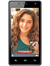 Best available price of Celkon Campus Prime in Bulk