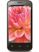 Best available price of Lava Iris 505 in Bulk