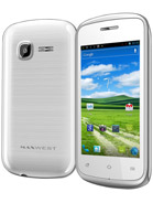Best available price of Maxwest Android 320 in Bulk