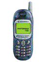 Best available price of Motorola T190 in Bulk
