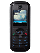 Best available price of Motorola W205 in Bulk