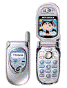 Best available price of Motorola V291 in Bulk