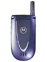 Best available price of Motorola V66i in Bulk