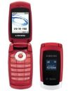 Best available price of Samsung T219 in Bulk
