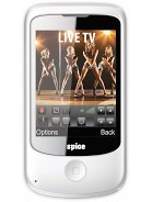 Best available price of Spice M-5566 Flo Entertainer in Bulk